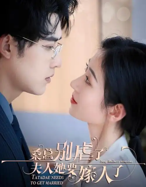 潮汐之城 热播电视剧全集免费观看